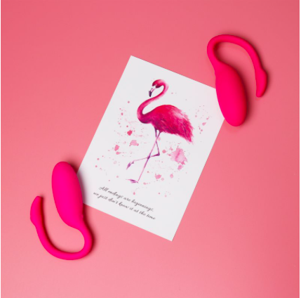 Đại lý Trứng rung thiên nga Flamingo Magic Motion điều khiển từ xa bằng điện thoại mới nhất Đại lý Trứng rung thiên nga Flamingo Magic Motion điều khiển từ xa bằng điện thoại mới nhất