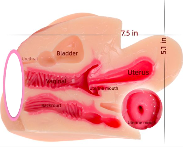 Giá sỉ Âm đạo giả ManMiao 3 đầu rung sưởi ấm và cấu trúc tử cung như thật giá tốt