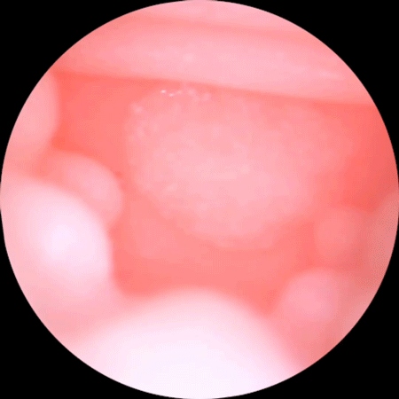 Âm đạo giả ManMiao Lovely Catwoman mềm mại kiểu dáng mèo đáng yêu Âm đạo giả ManMiao Lovely Catwoman mềm mại kiểu dáng mèo đáng yêu