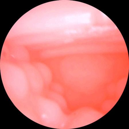 Âm đạo giả ManMiao Lovely Catwoman mềm mại kiểu dáng mèo đáng yêu Âm đạo giả ManMiao Lovely Catwoman mềm mại kiểu dáng mèo đáng yêu