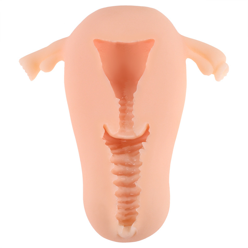 Cung cấp Âm đạo giả silicon cầm tay Manmiao mô phỏng hình tử cung phụ nữ mới nhất